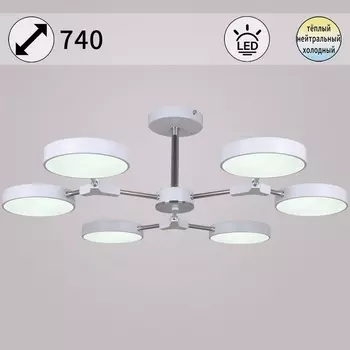 Потолочная люстра светодиодная на штанге Reluce 13246-4.3-06