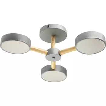 Потолочная люстра (+ночной режим) с пультом светодиодная на штанге с ДУ Ritter Scandia 51590 0