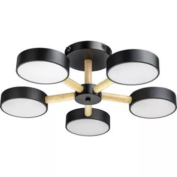 Потолочная люстра светодиодная на штанге с ДУ Ritter Scandia 51592 4