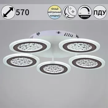 Потолочная люстра светодиодная на штанге с пультом регулировкой яркости и цветовой температуры Reluce 20491-0.3-05 WT