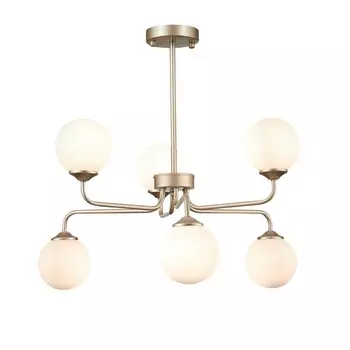 Потолочная люстра светодиодная ST Luce Redjino SLE106203-06