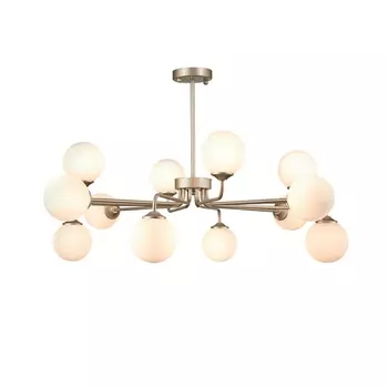 Потолочная люстра светодиодная ST Luce Redjino SLE106203-12