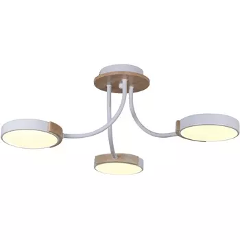 Потолочная люстра светодиодная Reluce 13202-0.3-03