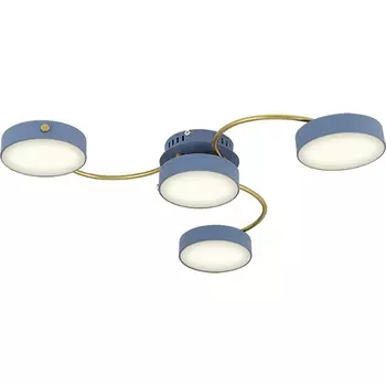 Потолочная люстра светодиодная Ritter Scandia 52081 8