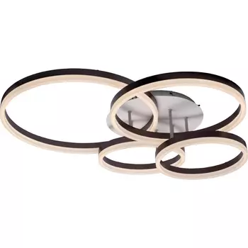 Потолочная люстра светодиодная с ДУ Ritter Eclipse 52084 3