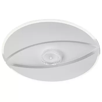 Потолочная люстра светодиодная с ДУ Ritter Occhiata 51588 7