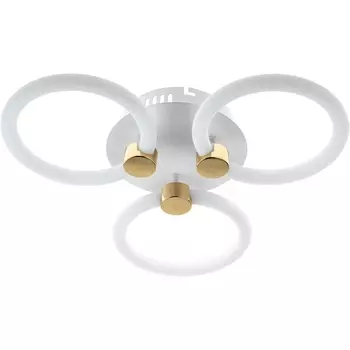 Потолочная люстра (+ночной режим) с пультом светодиодная с ДУ Ritter Ottimo 51611 2 (Умный дом, Алиса)