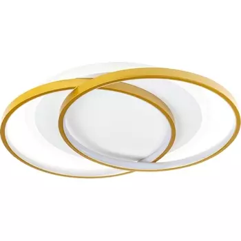 Потолочная люстра светодиодная с ДУ Ritter Snello 51624 2