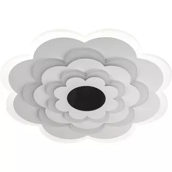 Потолочная люстра светодиодная с ДУ Ritter Viloria 52001 6