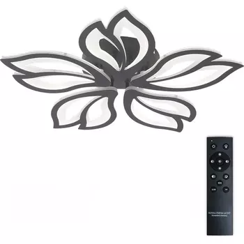 Потолочная люстра (+ночной режим) светодиодная с пультом ДУ 110W, черный, LED Natali Kovaltseva Fortuna LED LAMPS 81107/5C