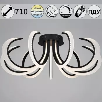 Потолочная люстра светодиодная с пультом и ночным режимом Reluce 74390-0.3-09L black (Умный дом)