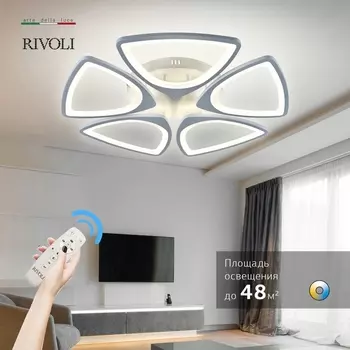 Потолочная люстра светодиодная с пультом регулировкой цветовой температуры и яркости Rivoli Anina 6079-105