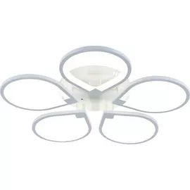 Потолочная люстра светодиодная с пультом регулировкой цветовой температуры и яркости ночным режимом 10217/5LED (Escada)