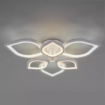 Потолочная люстра светодиодная с пультом регулировкой цветовой температуры и яркости ночным режимом Garden 90228/6 (Eurosvet)