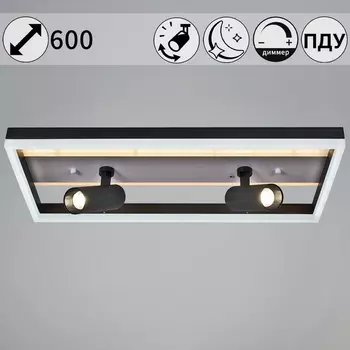 Потолочная люстра светодиодная с пультом Reluce 77028-3.3-102+10