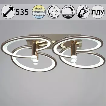 Потолочная люстра (+ночной режим) светодиодная с управлением смарфоном и пультом Reluce 09253-0.3-4S Champaign silver