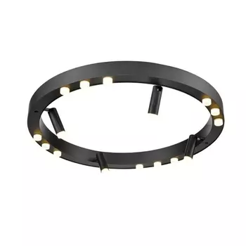 Потолочная люстра светодиодная Vele Luce Satellite VL7172L12