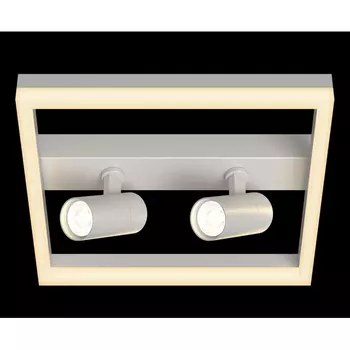 Потолочная люстра светодиодная, со спотами, с ДУ Ritter Novita 52093 5