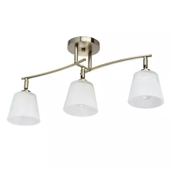 Потолочная люстра DeMarkt Тетро 673014303