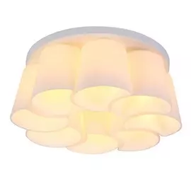 Потолочная люстра Toledo OML-28107-08 (Omnilux)