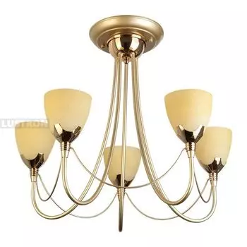 Потолочная люстра TopLight Lucia TL3630X-05MG