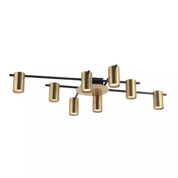 Потолочная люстра Favourite Topper 2827-8P