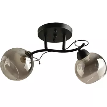 Потолочная люстра Hiper Tori H204-2