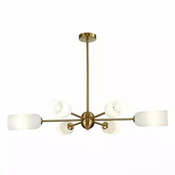 Потолочная люстра ST Luce Treviso SL1180.202.06