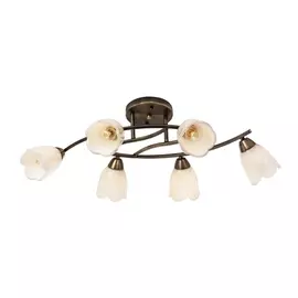 Потолочная люстра Tvia 220.53.6 (Silver Light)