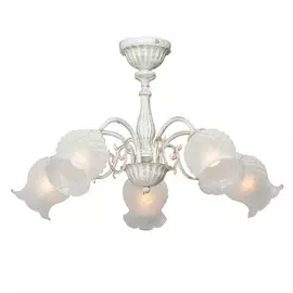 Потолочная люстра Vitaluce V1061/5PL