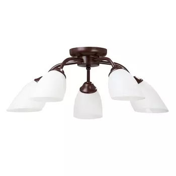 Потолочная люстра Vitaluce V3252/5PL