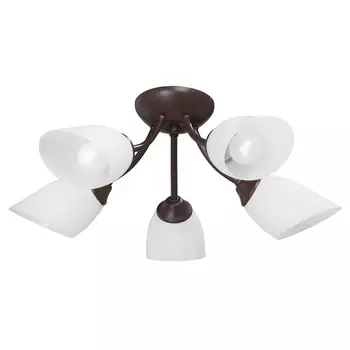 Потолочная люстра Vitaluce V3404/5PL