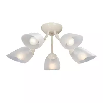 Потолочная люстра Vitaluce V3405/5PL