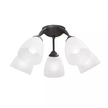 Потолочная люстра Vitaluce V3737-2/5PL