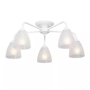 Потолочная люстра Vitaluce V3946-0/5PL