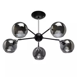 Потолочная люстра Вита 220012205 (MW-Light)