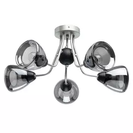 Потолочная люстра Вита 220012605 (MW-Light)