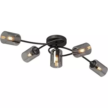 Потолочная люстра Vitaluce V2048-1/5PL