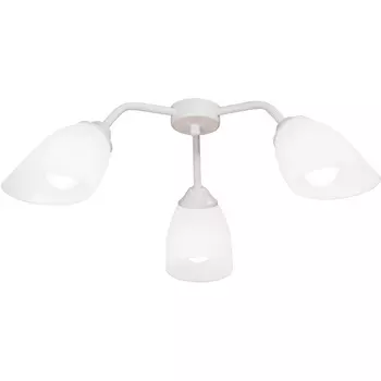 Потолочная люстра Vitaluce V31950/3PL