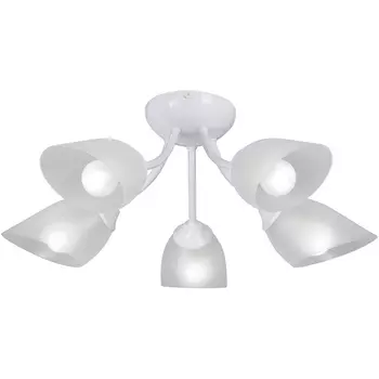 Потолочная люстра Vitaluce V3405-0/5PL