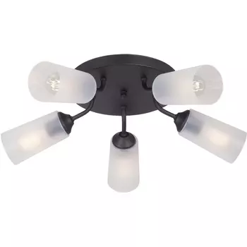 Потолочная люстра Vitaluce V3762-1/5PL