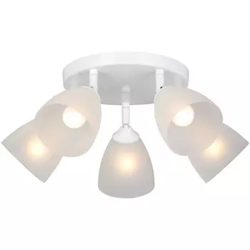 Потолочная люстра Vitaluce V4355-0/5PL