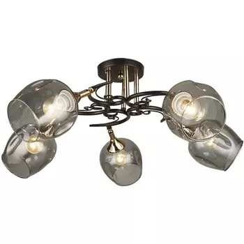 Потолочная люстра Wedo Light Alvi 66744.01.15.05