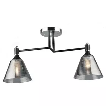 Потолочная люстра Wedo Light Anneta WD3619/2C-BK-CR-SMK