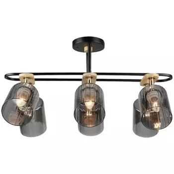 Потолочная люстра Wedo Light Lana WD3608/6C-BK-SMK