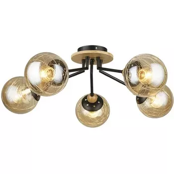 Потолочная люстра Wedo Light Narva 66716.01.86.05