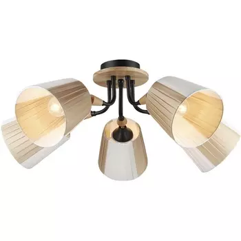 Потолочная люстра Wedo Light Vilmos WD3583/5C-BK-BG