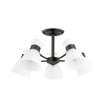 Потолочная люстра Lumion Wilma 4534/5C