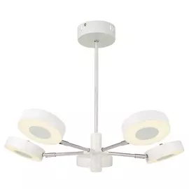 Потолочная светодиодная люстра Gabby FR6009PL-L55W (Freya)