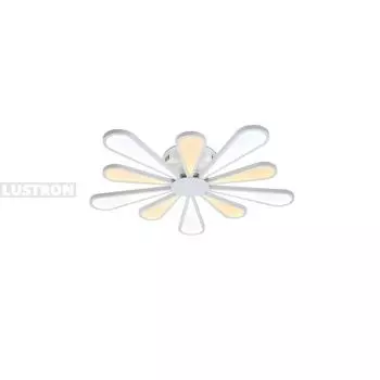 Потолочная светодиодная люстра 202.10 Lucia Tucci Miracoli LED